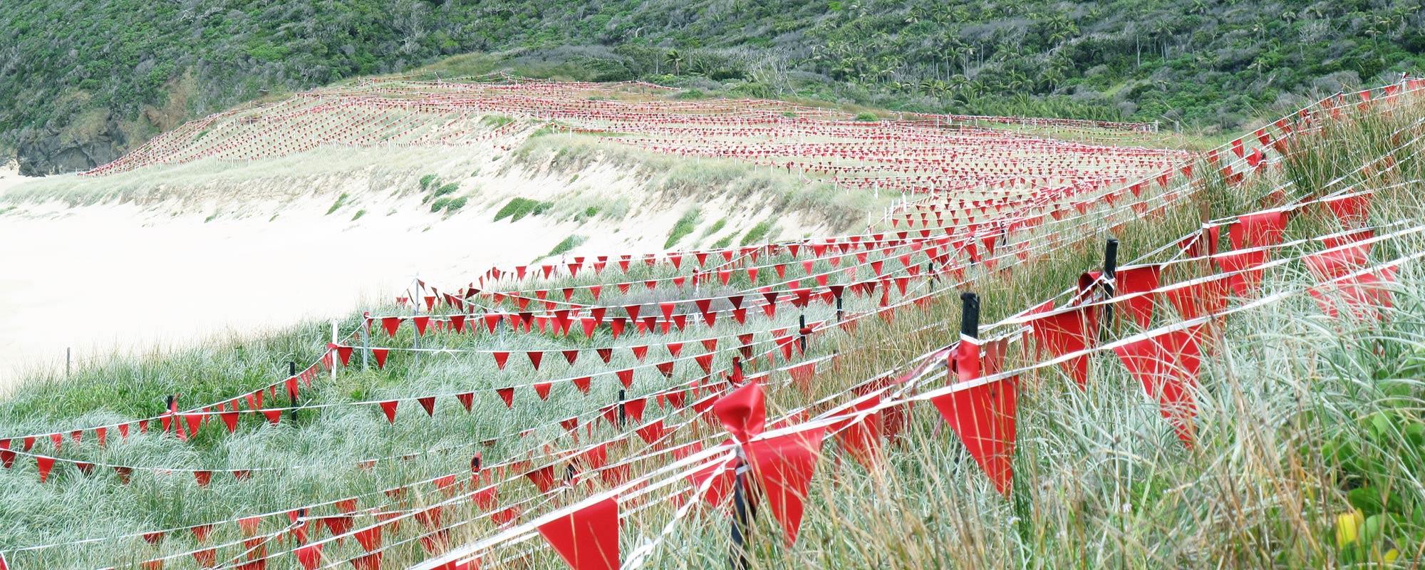 red safety flags on rope across field for safety flagging worksite